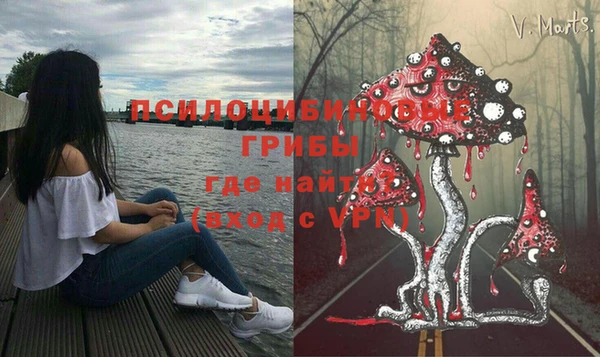 эйфоретик Инсар
