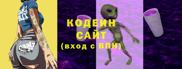 mix Инта