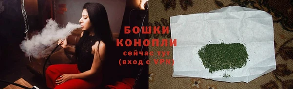 mix Инта