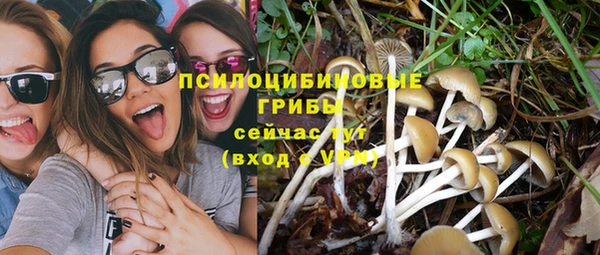 эйфоретик Инсар
