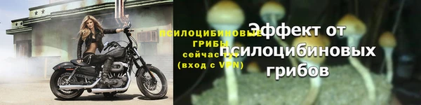 mix Инта