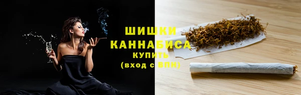 mix Инта