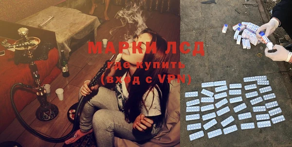 эйфоретик Инсар