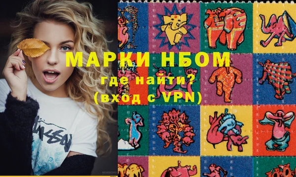 mix Инта