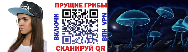 Псилоцибиновые грибы ЛСД  МЕГА ONION  Мончегорск 